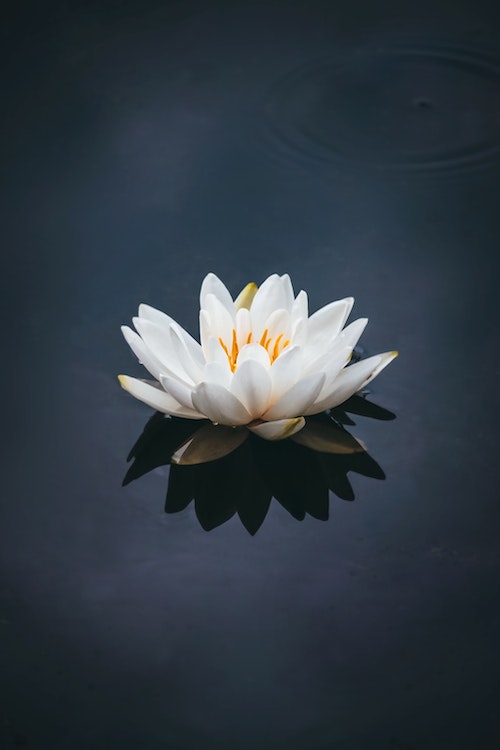 Stillness, Clarity, Presence.